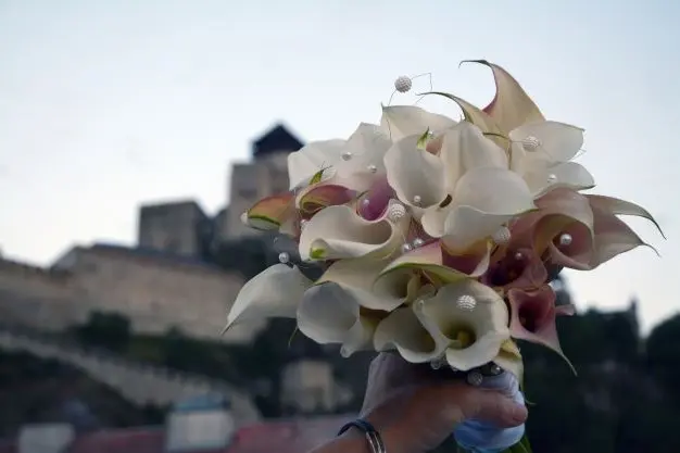 Elegantná kytica z bielych kál (cally) na pozadí Trenčianskeho hradu, Svadobné kvety kvetinárstvo Kytica od srdca Trenčianska Teplá